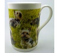 The Plate Collectors Shop Yorkshire Terrier Collage Mug FINE Bone China 10 0Z Mug ~ Hand Decorated in Stoke ON Trent