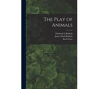 The Play of Animals