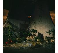 The Plot in You : The Plot in You Vinyl 12" Album (2026) NEW Amazing Value
