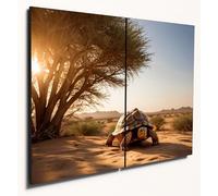 The Plum Penguin African Spurred Tortoise A4 Twin Set Wood MDF Wall Art - Sahel Sunset Home Decor Canvas Alternative 40 x 30cm