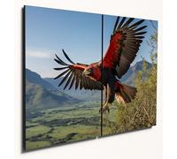 The Plum Penguin Bateleur Eagle Flight Wood Wall Art: African Savanna & Drakensberg Mountain Print on A4 MDF Panels Canvas Alternative 40 x 30cm