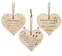 The Plum Penguin Blossoming Bonds Unveiled in Heart Friendship Plaques