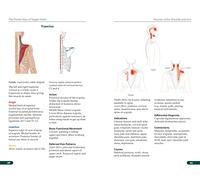 The Pocket Atlas of Trigger Points : A User-Friendly Guide to Muscle Anatomy, Pain Patterns, and the Myofascial Network for Students, Practitioners, and Patients