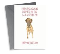 the police every step you take Mothers Day Card 14251