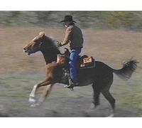 The Pony Express