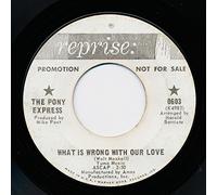The Pony Express - What Is Wrong With Our Love / Big Brown Eyes