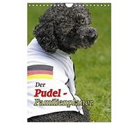 The Poodle Family Planner UK-Version (Wall Calendar 2026 DIN A4 Portrait), CALVENDO 12 Month Wall Calendar
