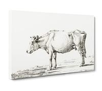 The Portrait Of A Cow By Jean Bernard Canvas Print | Gallery Wrapped 30mm Frame Wall Art | 24x16 inches | Ready to Hang | Retro Animals Picture | Living Room Bedroom Lounge Office