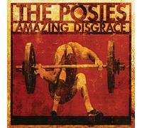 The Posies - Amazing Disgrace [VINYL]