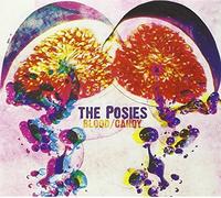 The Posies - Blood/Candy