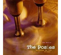 The Posies - Frosting On The Beater