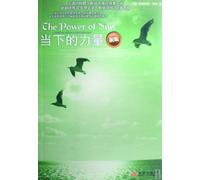 The Power of Now (New Edition) (Chinese Edition)