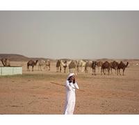 The Power of the Holy Cities