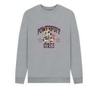 The Powerpuff Girls Script Graphic Logo Heather Grey Sweatshirt in Light Grey | Size: Medium The Powerpuff Girls Light Grey M