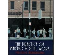 The Practice of Macro Social Work (Nelson-Hall Series in Social Work)