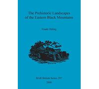 The Prehistoric landscapes of the eastern Black Mountains: 297 (British Archaeological Reports British Series)
