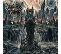 Molested Divinity - The Primordial