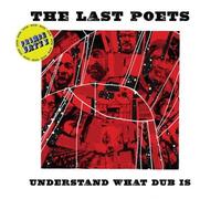 THE/PRINCE FATTY LAST POETS - UNDERSTAND WHAT DUB IS VINYL LP NEW