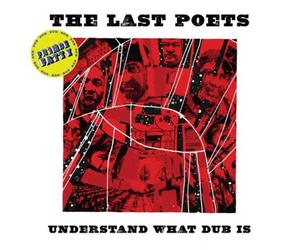 THE/PRINCE FATTY LAST POETS - UNDERSTAND WHAT DUB IS VINYL LP NEW