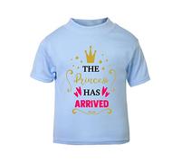 The Princess has Arrived [BBY4] Short Sleeve Cotton Toddler t Shirt, 2-3 Years, Pastel Blue