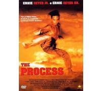 the process dvd Italian Import