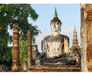 The Process of Dying in Tibetan Buddhism