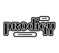 The Prodigy Experience Vinyl 2LP in Black The Prodigy Black