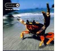 The Prodigy - The Fat Of The Land