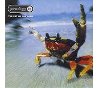 The Prodigy - The Prodigy - The Fat of the Land CD