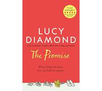 The Promise: A gripping story of love, grief and the lies that can tear a family apart