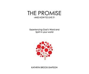 THE PROMISE - AND HOW TO LIVE IT -: Experiencing God's Word and Spirit in your world
