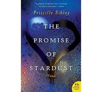 The Promise of Stardust: A Novel