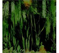 The Promise Ring - Woodwater