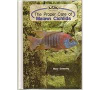 The Proper Care of Malawi Cichlids