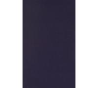 The Protestant Crusade in Great Britain 1829-1860