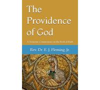 The Providence of God: A Sermonic Commentary on the Book of Ruth