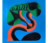 The Psychedelic Freaks - Passing Through The Doorways Of Your Mind [VINYL]