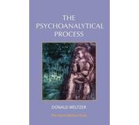 The Psychoanalytical Process