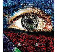 The Public Opinion Afro Orchestra - Naming & Blaming [VINYL]