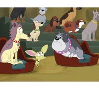 The Pupple's Court
