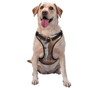 The puppy under the sunset Dog Harness for Small, Medium, and Large Dogs-Adjustable, Breathable Dog Vest with Quick Release Buckles