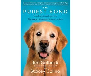 The Purest Bond: Understanding the Human-Canine Connection