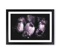 The Purple Tulips Paint Splash Framed Print | A2 Black Framed Wall Art | Ready to Hang | Modern Nature Picture | Living Room Bedroom Lounge Office