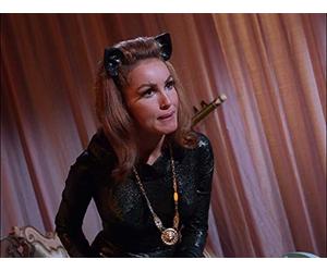 The purr-fect crime