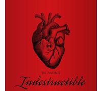 The Pussybats - Indestructible