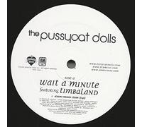 The Pussycat Dolls - wait a minute 12