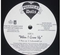 The Pussycat Dolls - When I Grow Up (X2) [VINYL]