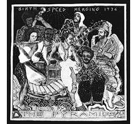 THE PYRAMIDS - BIRTH/SPEED/MERGING [VINYL]