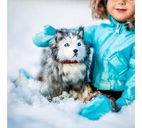 THE QUEEN'S TREASURES 18 Inch Doll Pets, Husky Puppy Dog Pet Friend with Leash and Collar, Compatible for Use with American Girl Dolls