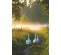 The Quiet Path: A Blank Journal for Thoughts, Dreams & Everyday Moments